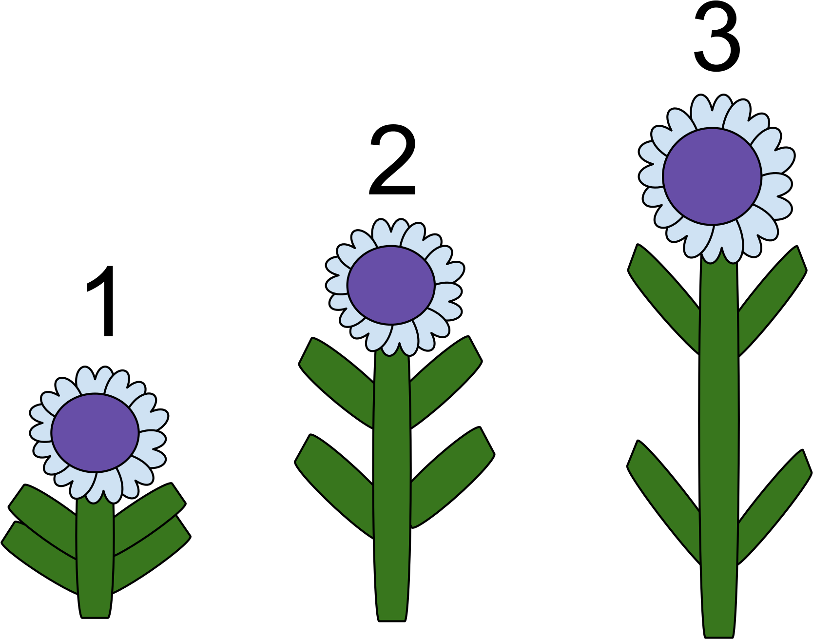 Open - Gibberellins Definition Biology (2000x1500)