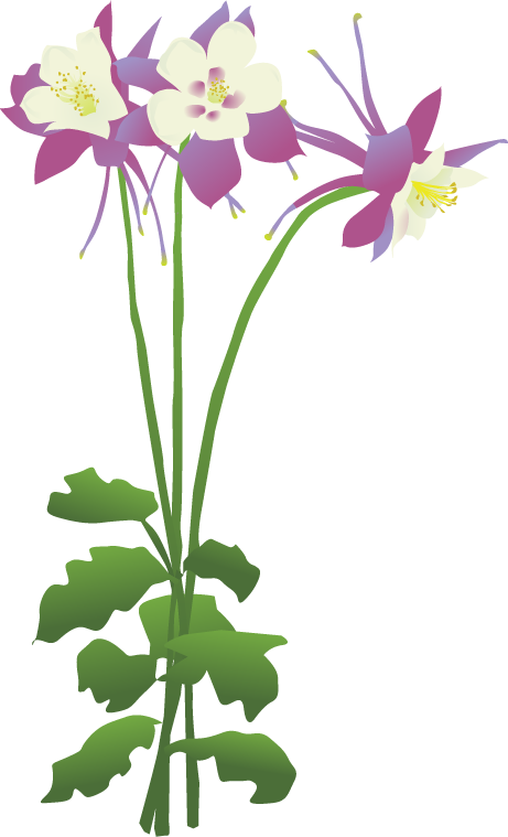 Columbine Landscaping - Columbine Landscaping Inc (461x759)
