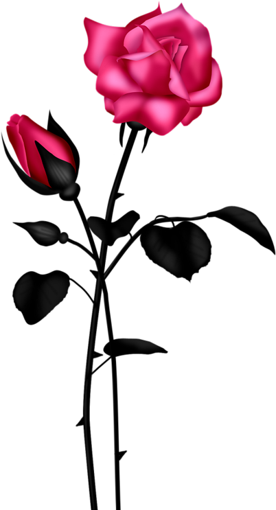 Wild Flowersart - Fijne Avond En Weekend (502x800)
