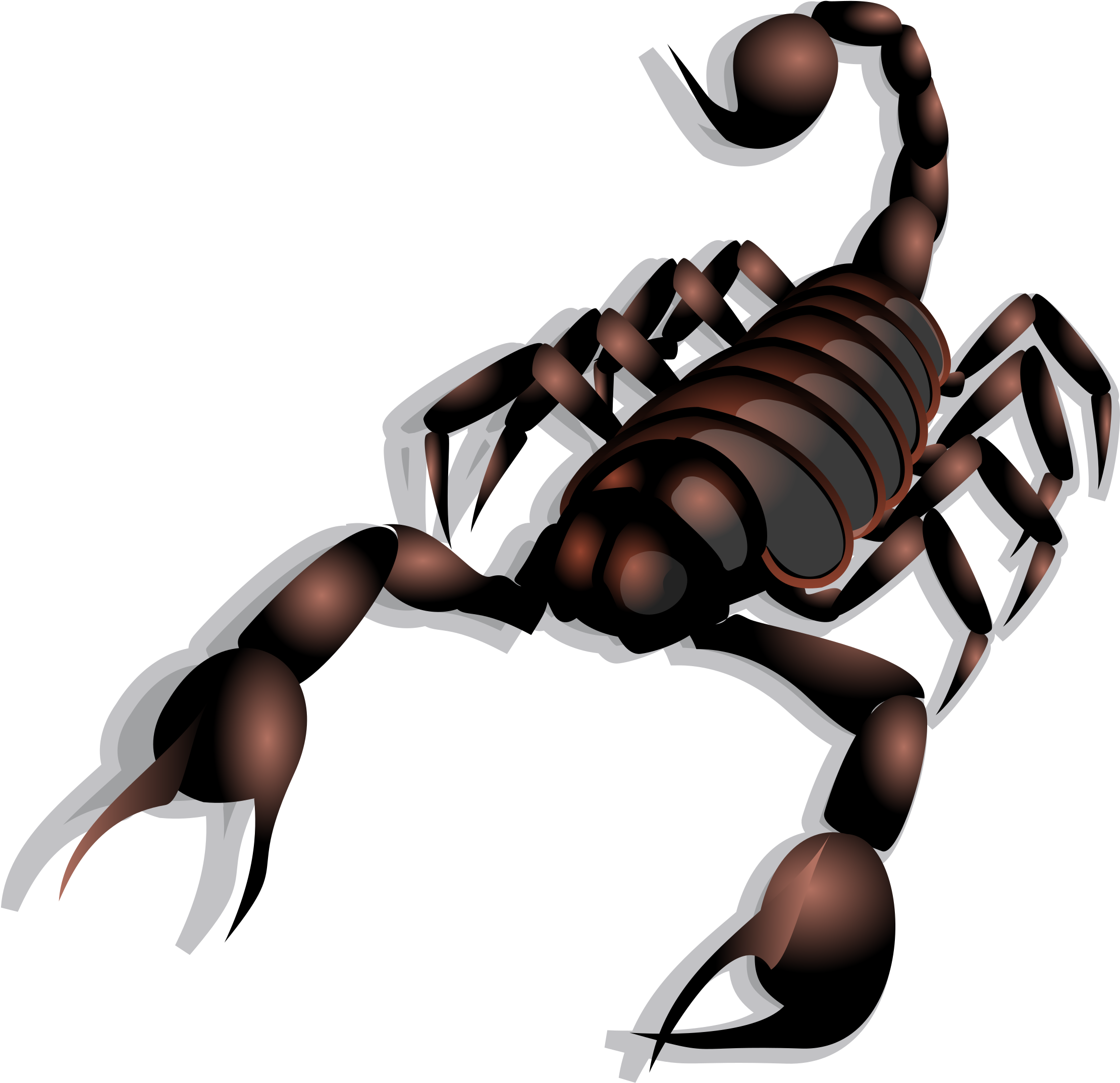 Clip Art Lobster - Clipart Scorpion (2400x2400)