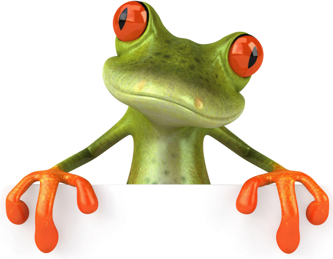 Frog Png - Frog Png (1086x854)
