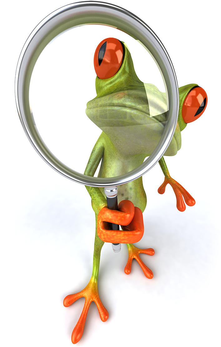 Frog With Magnifying Glass - Frog With Magnifying Glass (767x1144)