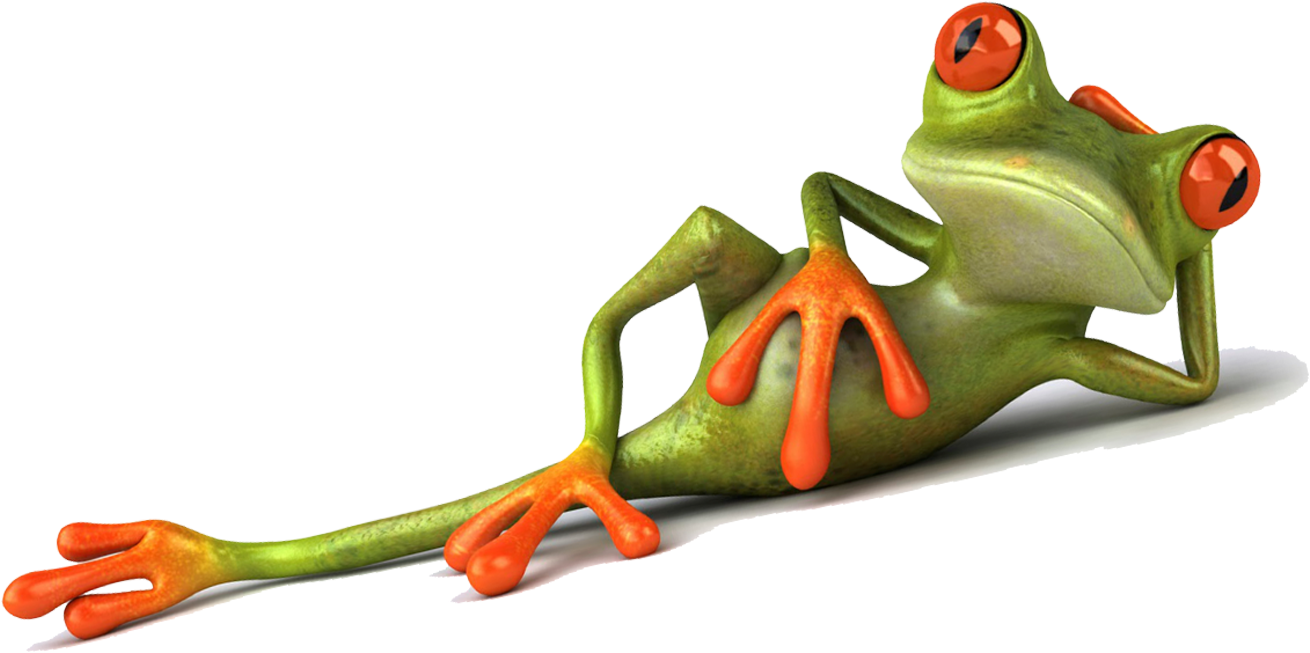 Animation Company In Bangalore - Sexy Frog Pose: Blank 150 Page Lined  Journal For Your - (1496x756) Png Clipart Download