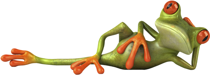 Whatsapp Message Quotation Joke - Whatsapp Message Quotation Joke (800x500)