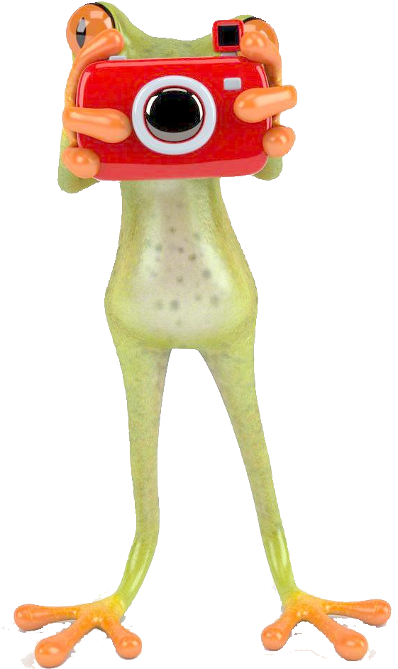 Tree Frog Sticker Crazy Frog - Funny Frog (1024x966)