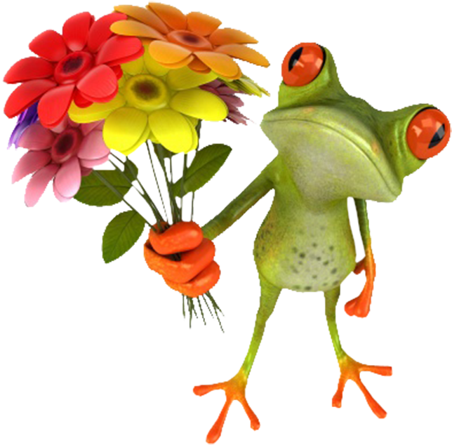 Frog 3d Funny Flowers Lyagushka - Good Morning Uth Gye (1088x725)