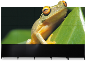 Product Image - Modern Cursive For Queensland 6 (382x346)