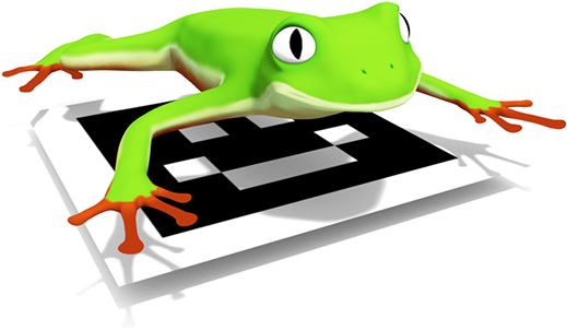 *you Can Check An Interactive 3d Model Here - Green-eyed Tree Frog (600x331)