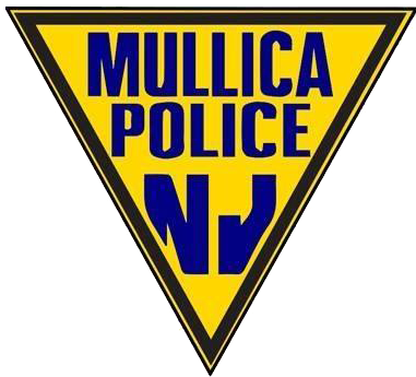 Police Department - Mullica Township Police Dept (380x380)