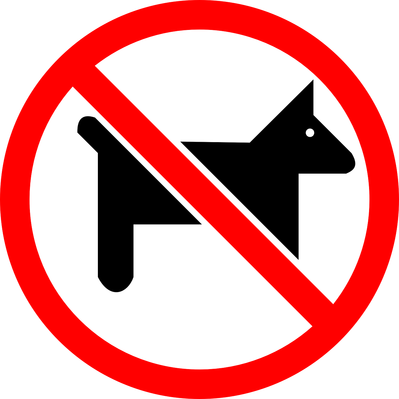 No Guns Allowed Sign (1280x1280)