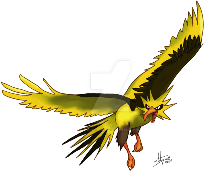 Zapdos Pokemon Halloween Costumes Gallery - Zapdos (1024x754)