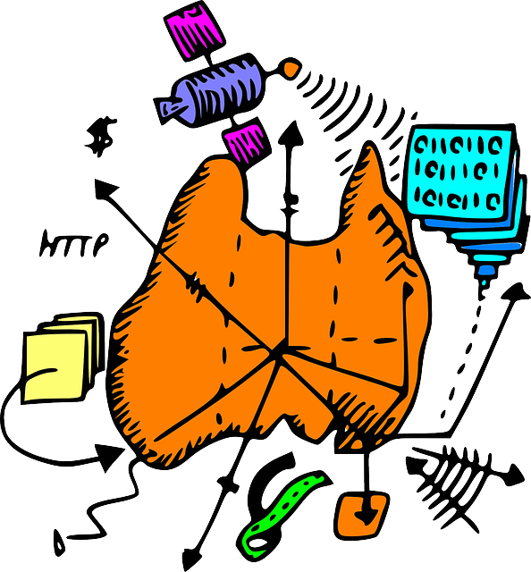 Digital, Geography, Australia, Map, Cartoon - Clip Art (594x640)