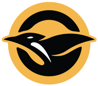 Chorus - Penguins Pittsburgh Gold Logo (400x320)
