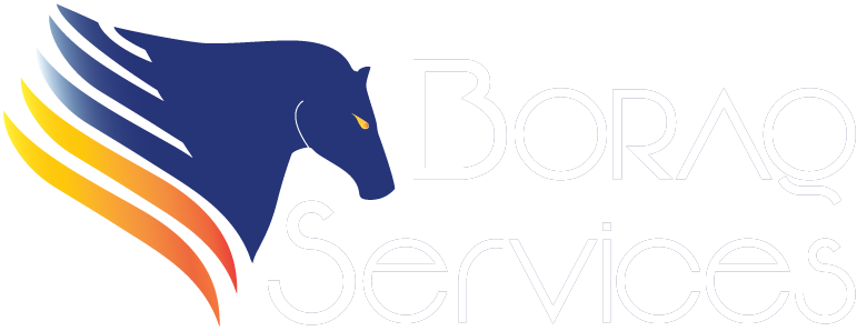 Boraq Service Boraq Service Boraq Service - Track And Trace (771x298)