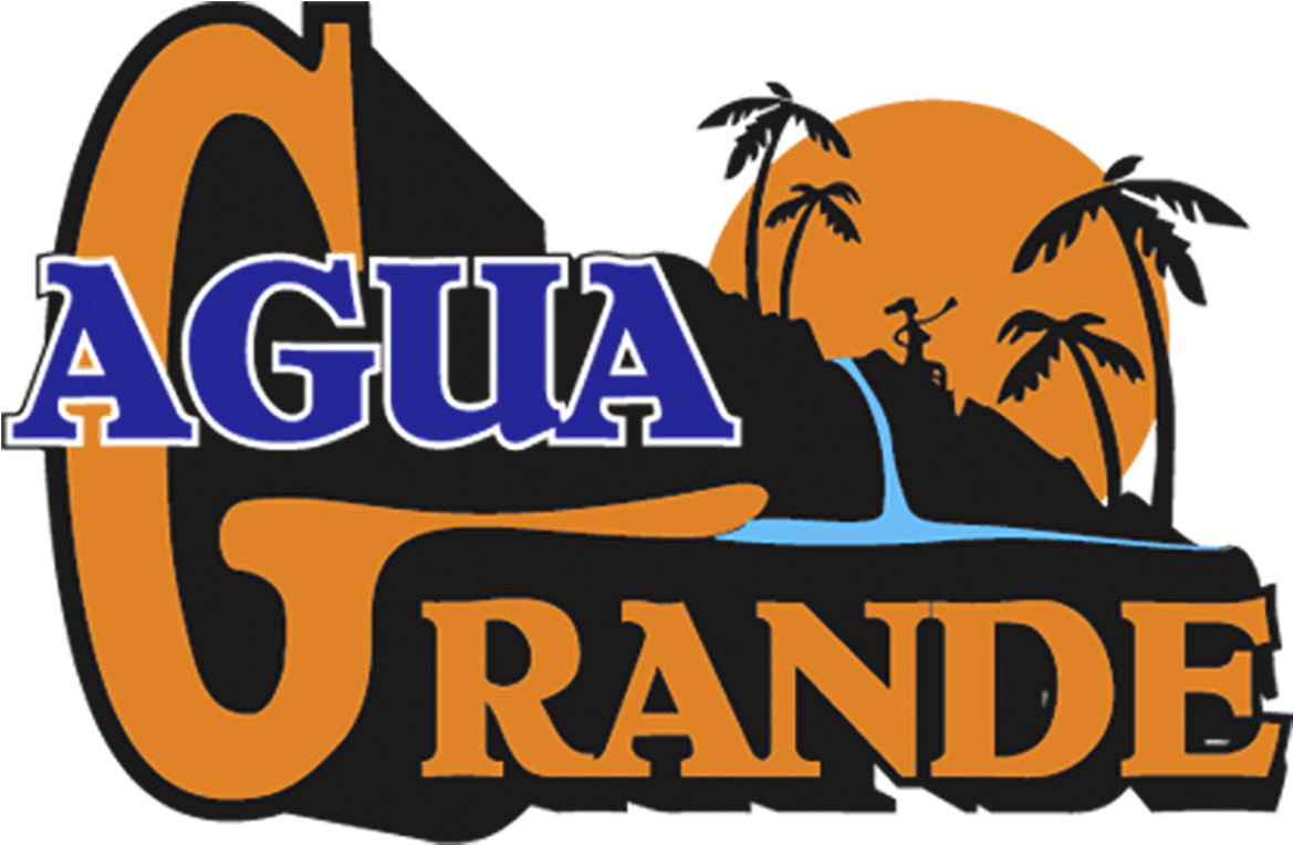 Agua Grande Logo - Palm Tree (1200x900)