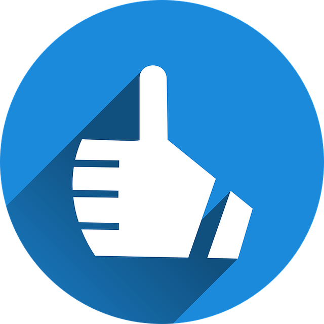 Blue Video Camera Icon (640x640)