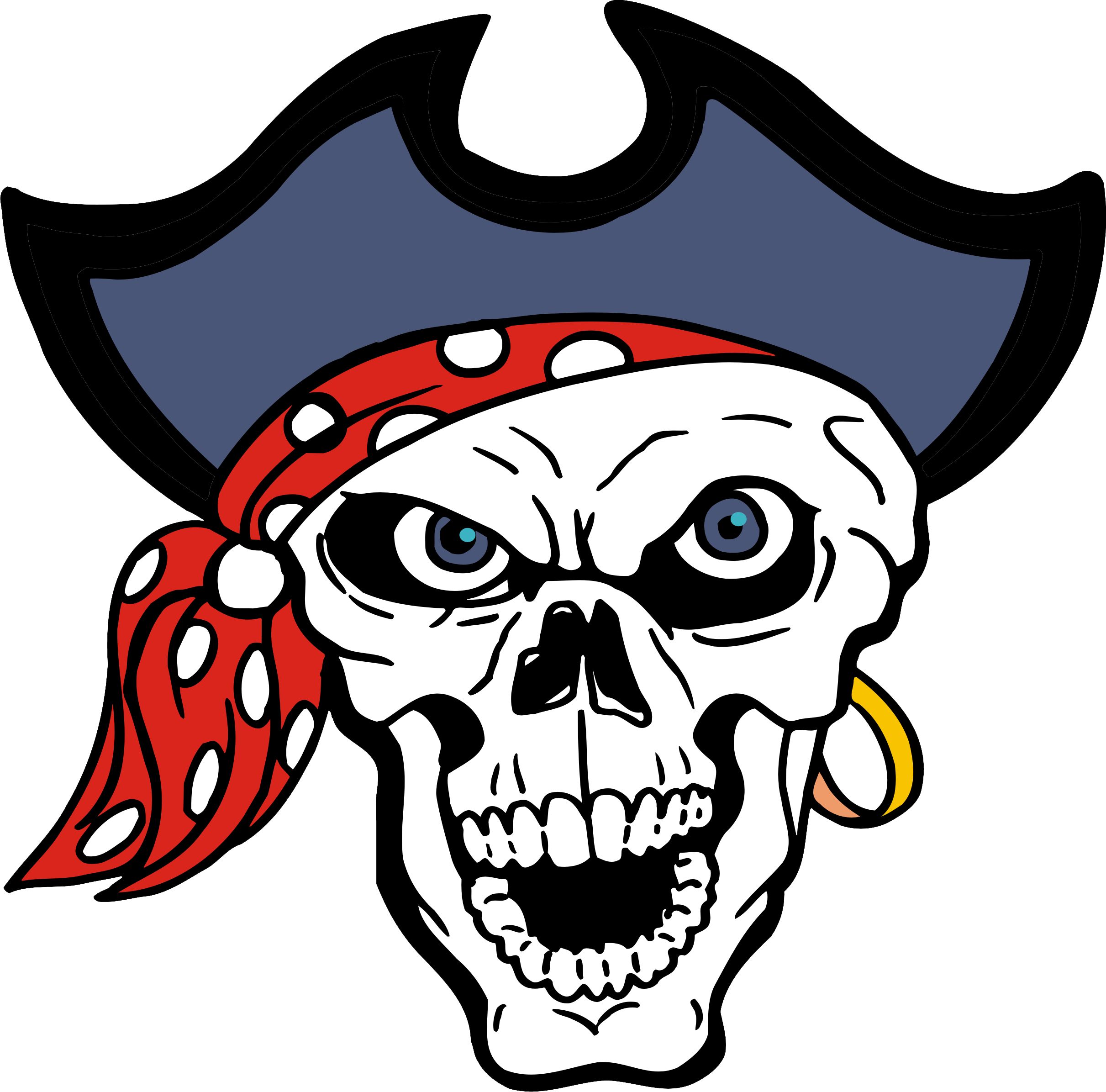 Pirate Png - Pirate Skull Shower Curtain (2422x2391)