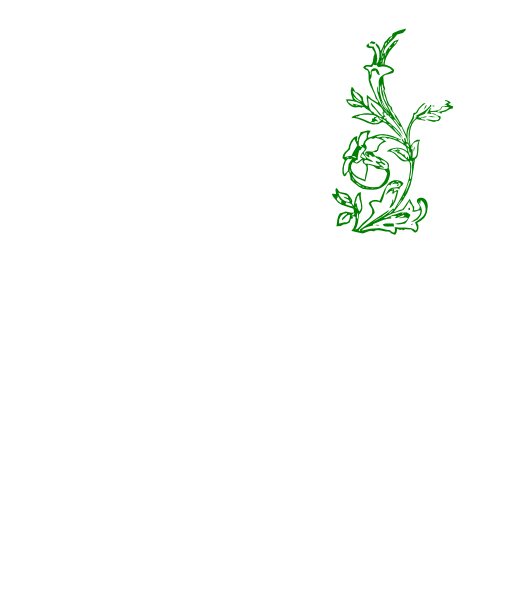 Flower Vine T Clip Art At Clker - Clip Art (558x598)