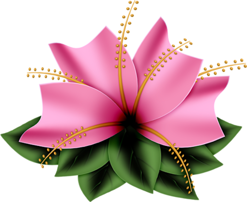 Flower - Have A Wonderful Wednesday (500x408)