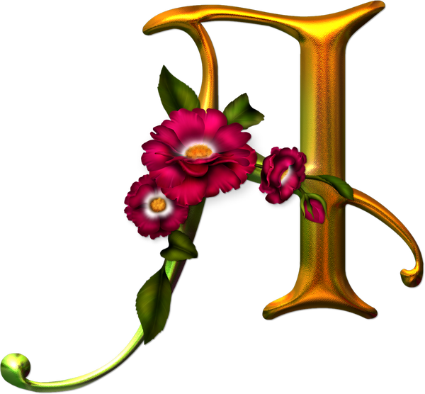 Abecedarios Y Gifs De Letras - Letras Con Adornos De Rosas (600x556)