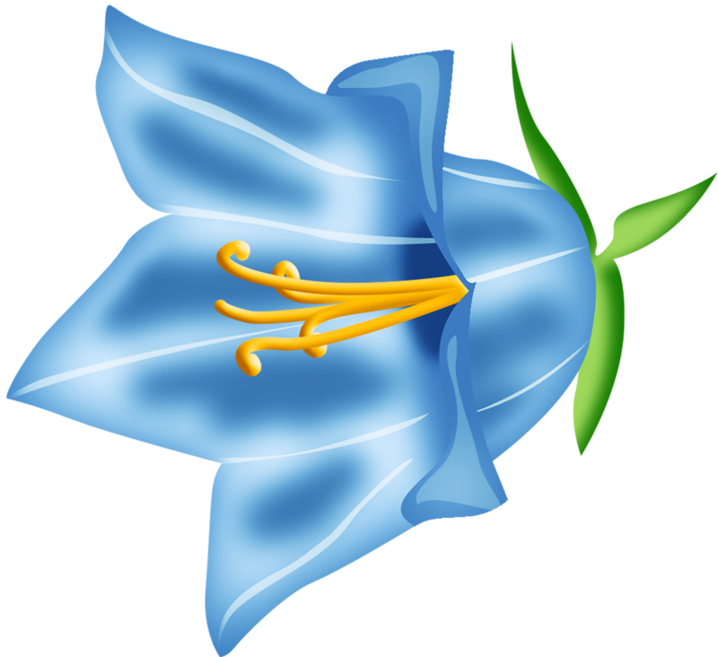 0 143ff2 C3b12389 Orig - Illustration (800x732)