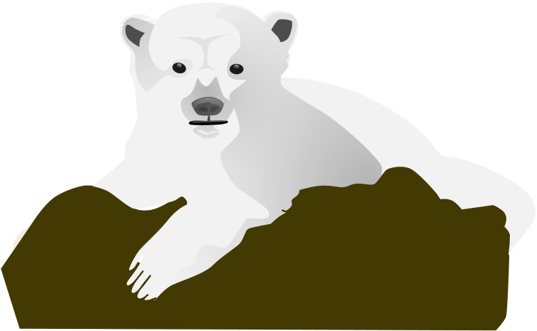 320 × 240 Pixels - Polar Bear Clip Art (800x600)
