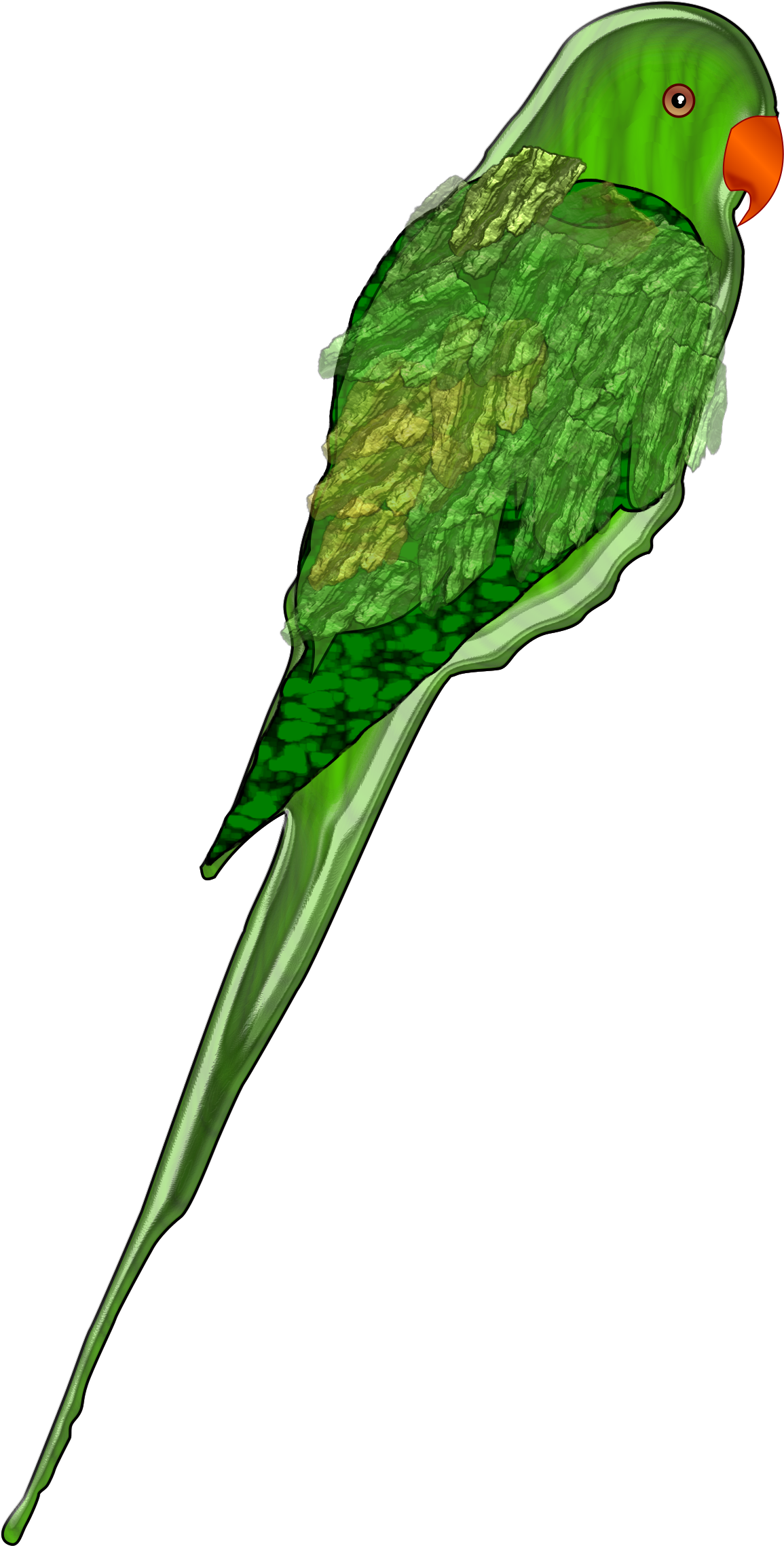 Parrot - Parrot (1533x2400)