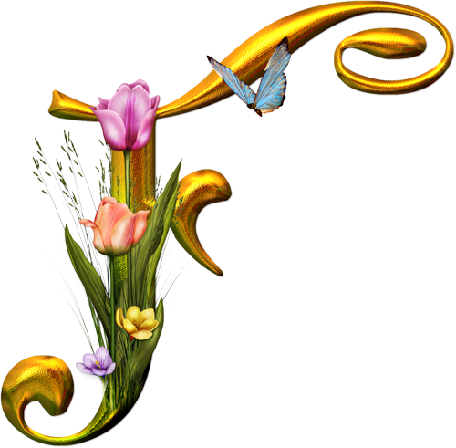Alphabet Letters - Alphabet (500x491)