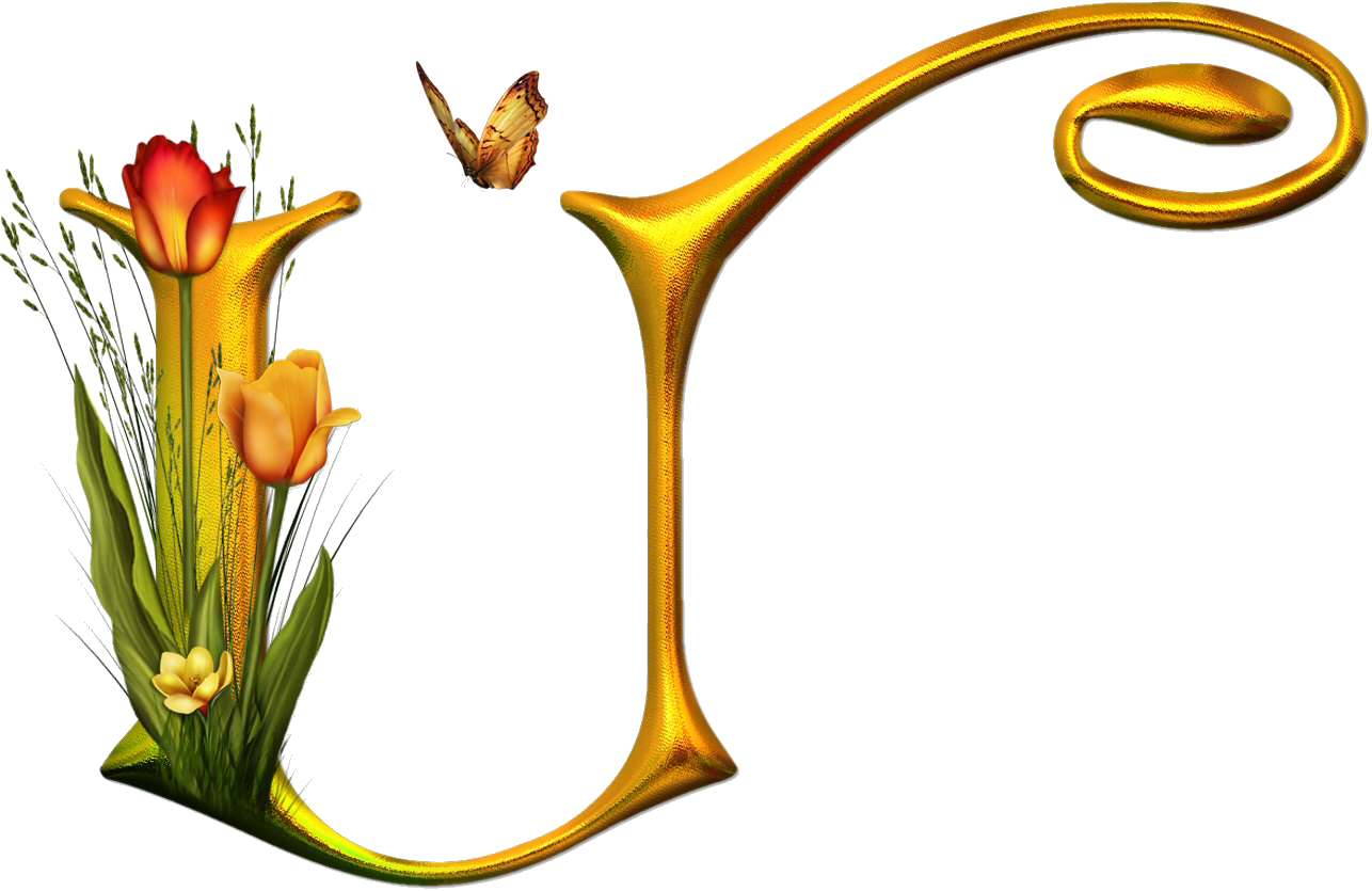 Bello Alfabeto Con Flores Y Mariposas - Alphabet (1286x835)