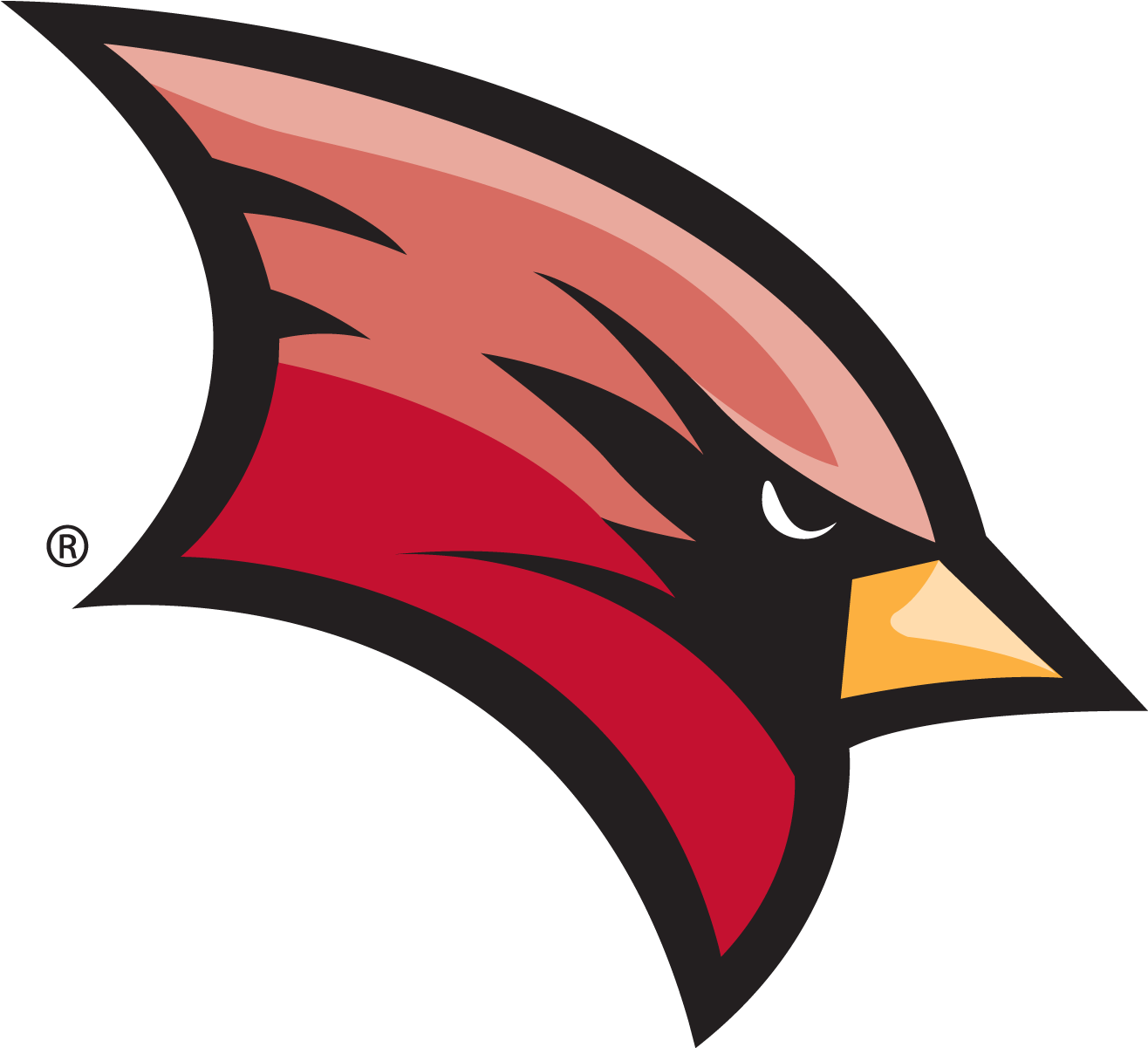 Softball Catcher Voted To Cosida Academic All-district - Saginaw Valley State University (1488x1200)