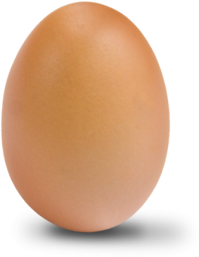 Egg Clipart Photo Png Images - Egg Png (400x408)