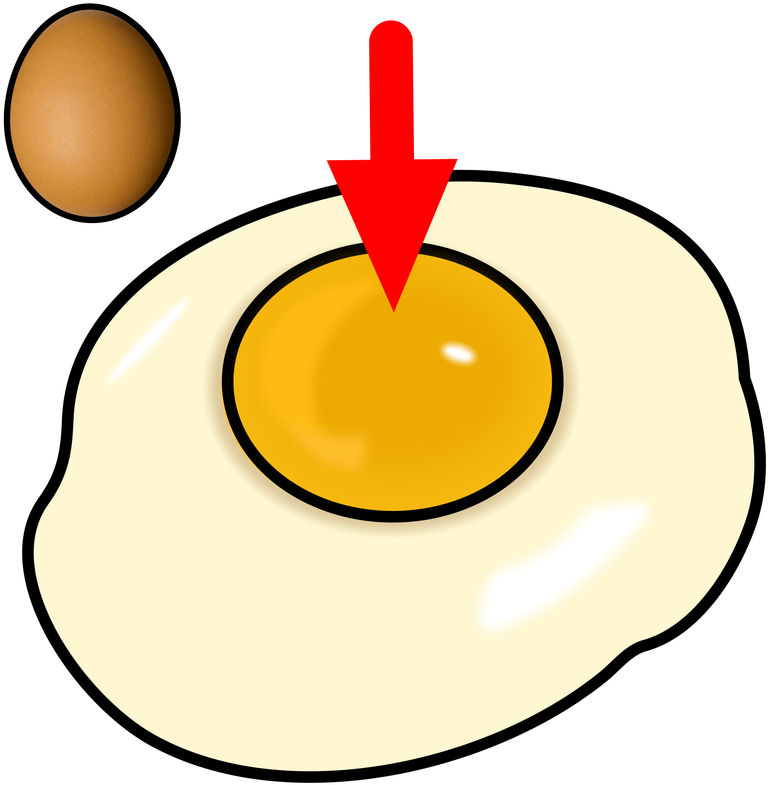 Egg Yolk Clipart - Egg Yolk Clipart (800x800)