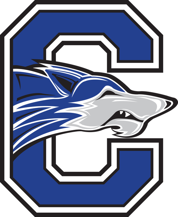 Chs - Southern Alamance High School Logo (576x700)