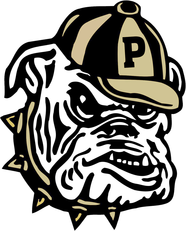 School Logo - Pendleton High School Sc (790x980)