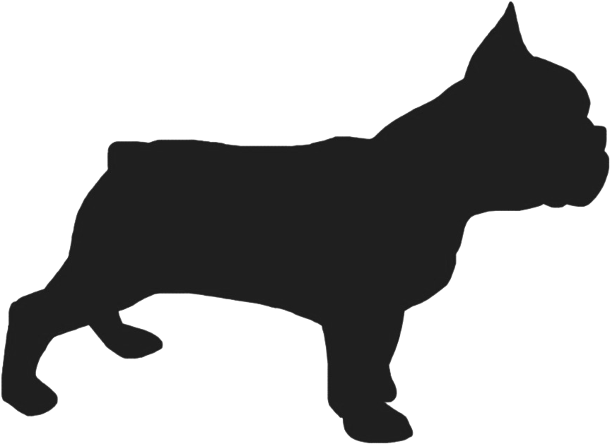 Breedinfo Frenchie - Drawings Of French Bulldogs (1024x682)