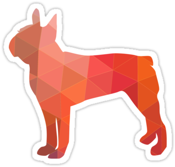 Boston Terrier Dog Colorful Geometric Pattern Silhouette - Alaskan Klee Kai (375x360)