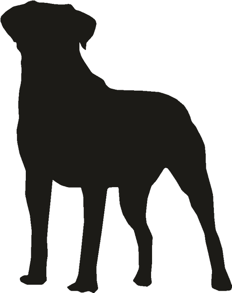 Bulldog The Rottweiler Pug Clip Art - Dog Catches Something (800x800)