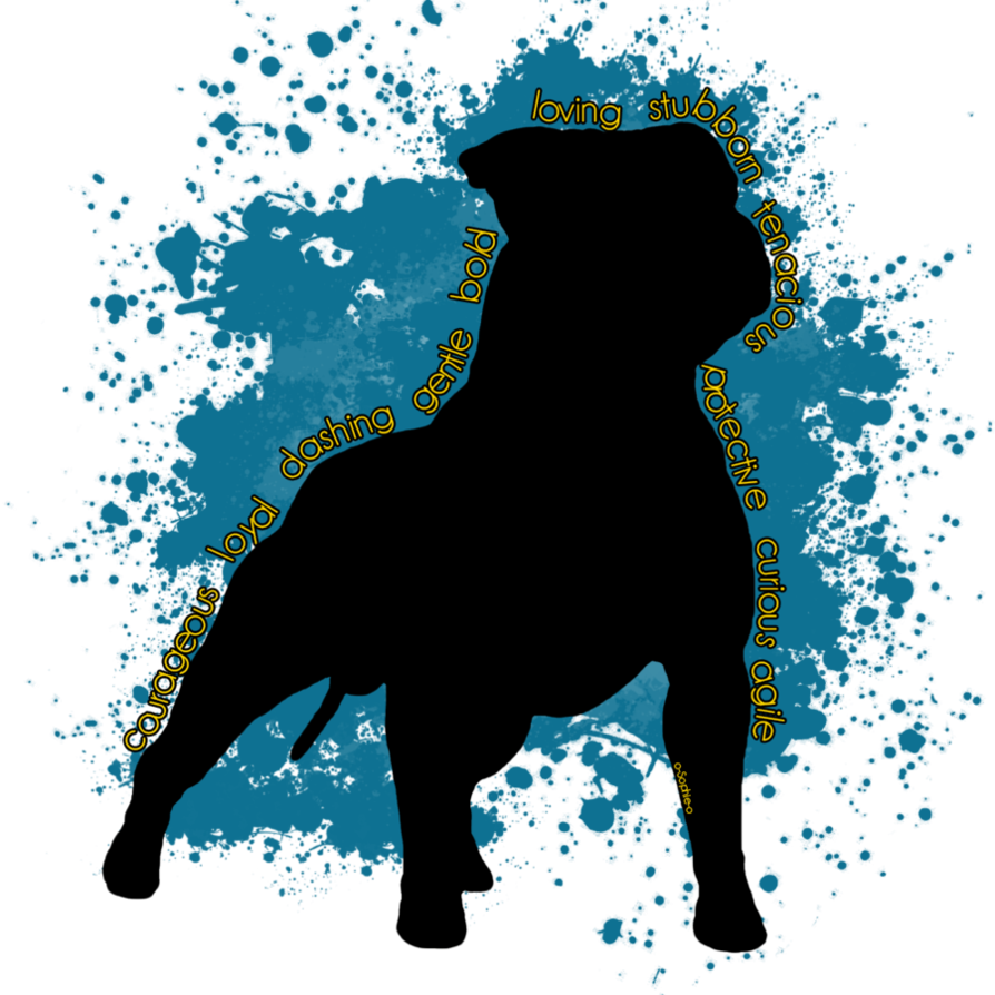 Staffordshire Bull Terrier Traits By O Sophie O - Logo Staffordshire Bull Terrier (894x894)