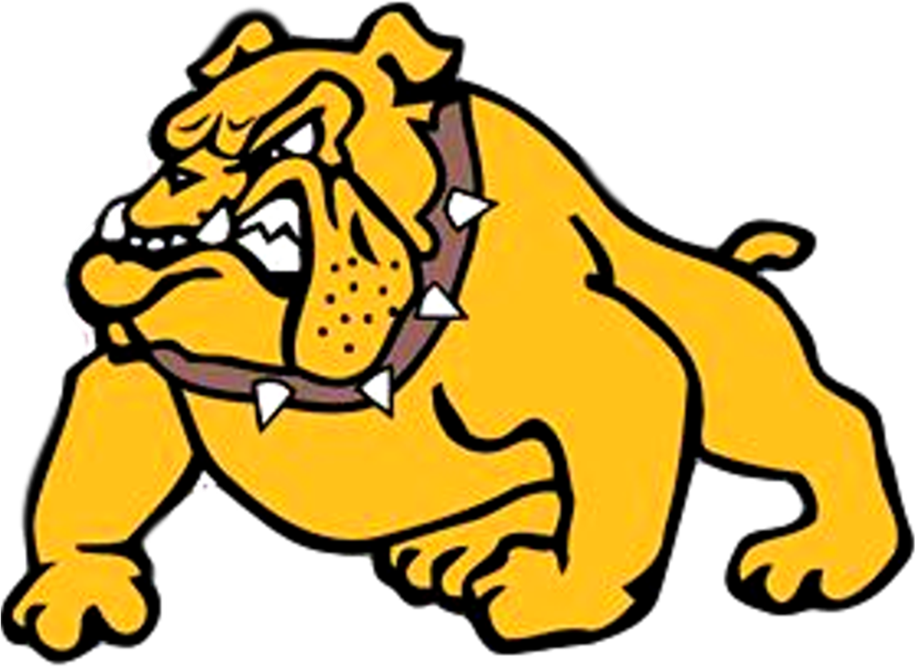 Bulldog Athletics - North Gwinnett High School (1280x1280)