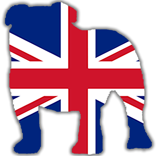 Union Jack On Flag (512x512)