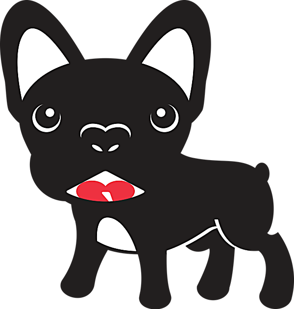 Hello, Call Me Frenchie - Housse Pour Iphone Uniea Coque Dogs Iphone 4/4s (600x631)