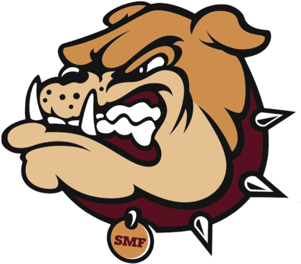 Editted Zpsm0jwm2wy - Stow Munroe Falls Bulldogs (729x658)