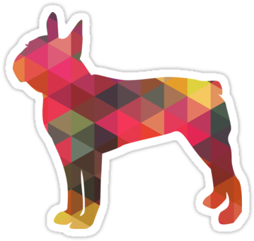 Boston Terrier Dog Colorful Geometric Pattern Silhouette - Australian Cattle Dog (375x360)