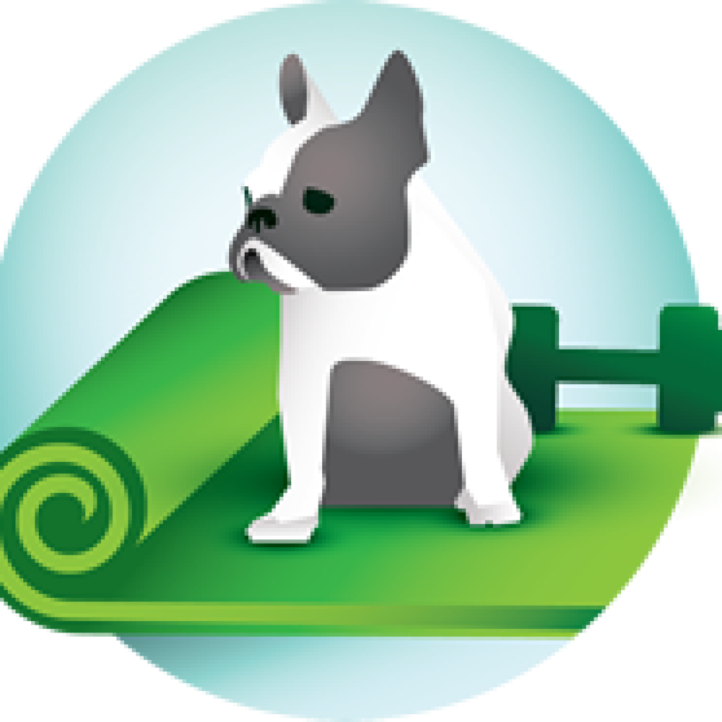 Home Exercise Progra - Boston Terrier (1024x1024)