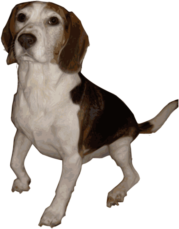 Free Beagle Medium Version - Life Is Better With A Beagle Shower Curtain (628x800)