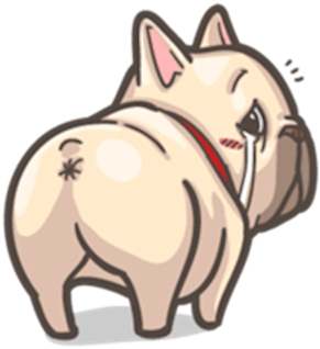 French Bulldog Pigu Messages Sticker-9 - French Bulldog (350x350)