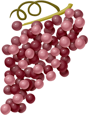 Lliella Autumnharvest Grapes1 - Zazzle Porzellan-coupé Servierplatte-ernte Porzellan (375x500)