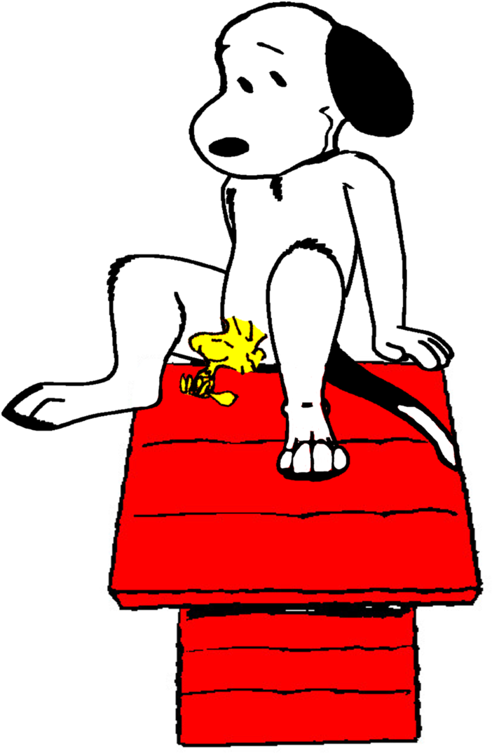 Woodstock Loves Getting Along With Snoopy By Bradsnoopy97 - Snoopy And Woodstock Love (1336x1974)