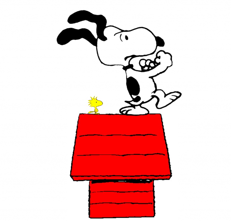 Snoopy Fight For The Life Of His Friend Woodstock By - Snoopy And Woodstock Fight (912x876)