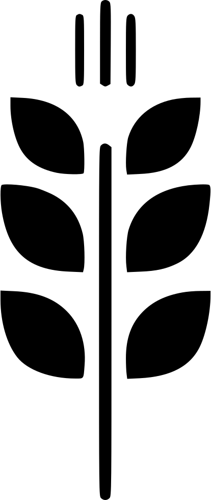 Wheat Corn Harvest Comments - Wheat Corn Harvest Comments (414x980)